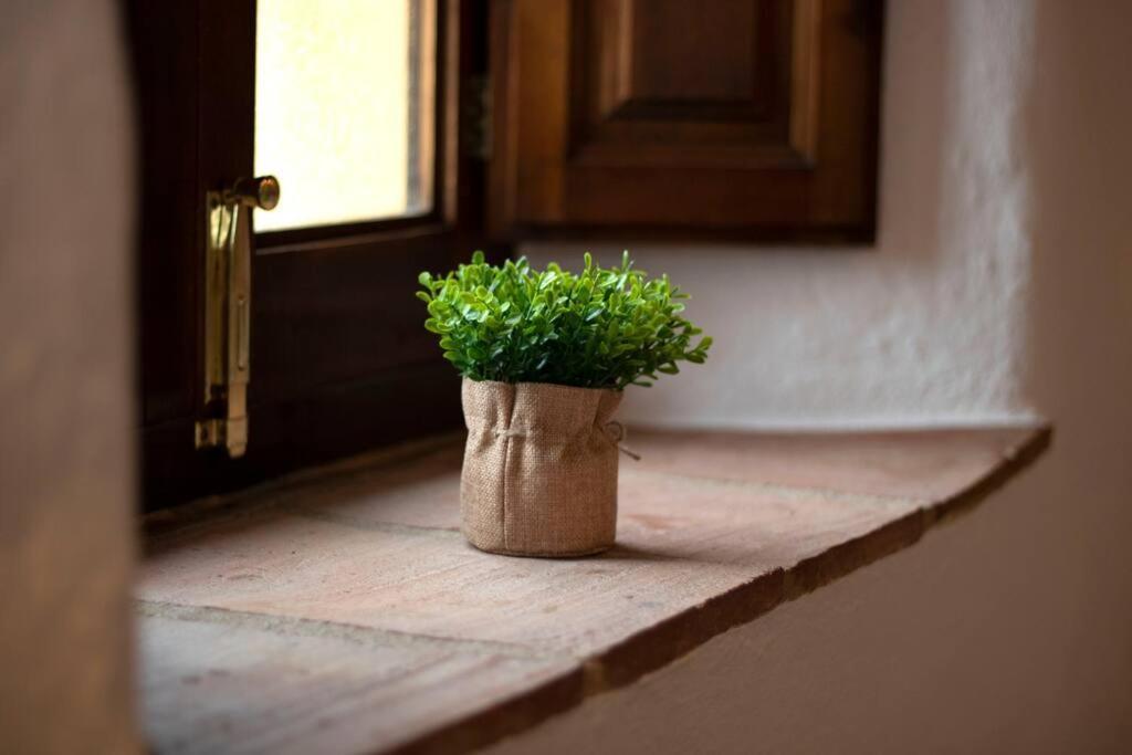 Casabenadalid. Casa Rural Con Piscina. Extérieur photo
